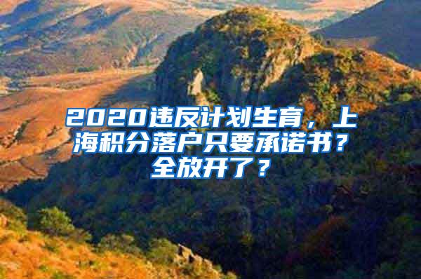 2020违反计划生育，上海积分落户只要承诺书？全放开了？