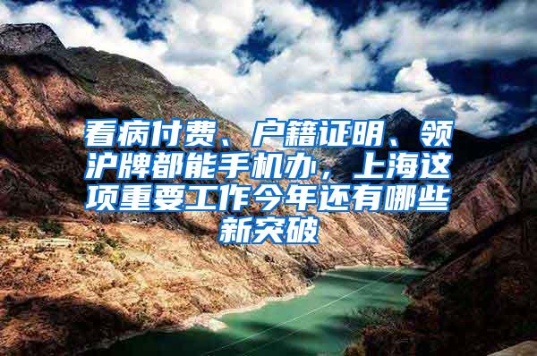 看病付费、户籍证明、领沪牌都能手机办，上海这项重要工作今年还有哪些新突破