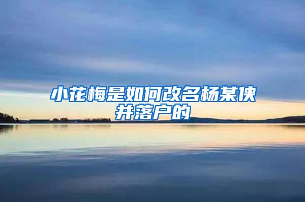 小花梅是如何改名杨某侠并落户的