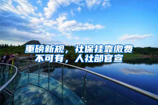 重磅新规，社保挂靠缴费不可有，人社部官宣