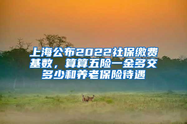 上海公布2022社保缴费基数，算算五险一金多交多少和养老保险待遇