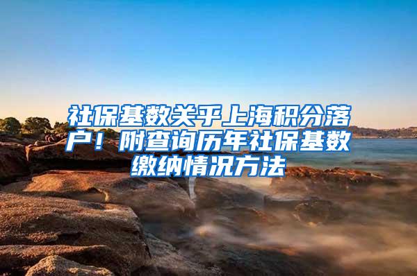 社保基数关乎上海积分落户！附查询历年社保基数缴纳情况方法