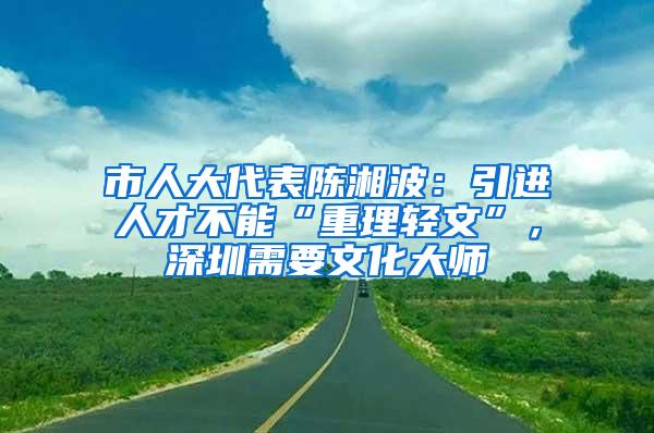 市人大代表陈湘波：引进人才不能“重理轻文”，深圳需要文化大师