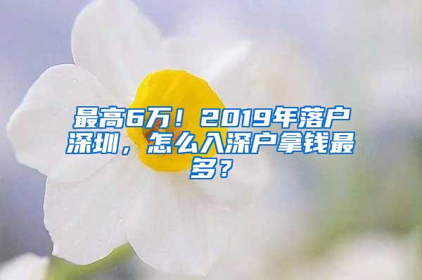 最高6万！2019年落户深圳，怎么入深户拿钱最多？