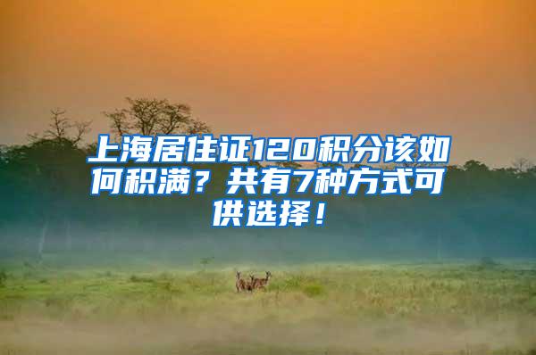 上海居住证120积分该如何积满？共有7种方式可供选择！