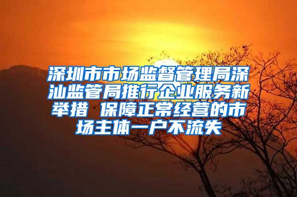 深圳市市场监督管理局深汕监管局推行企业服务新举措 保障正常经营的市场主体一户不流失