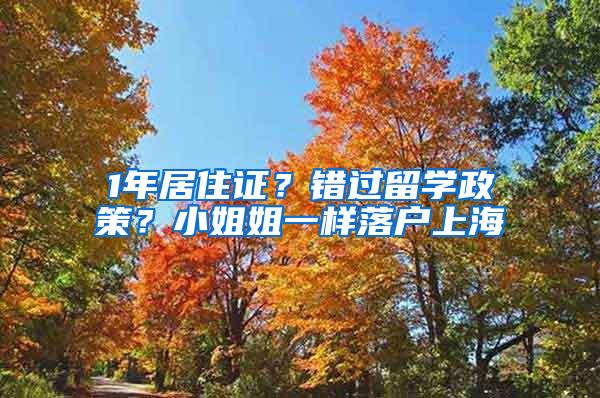 1年居住证？错过留学政策？小姐姐一样落户上海