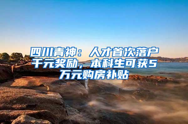 四川青神：人才首次落户千元奖励，本科生可获5万元购房补贴