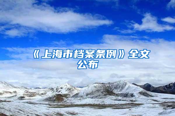 《上海市档案条例》全文公布