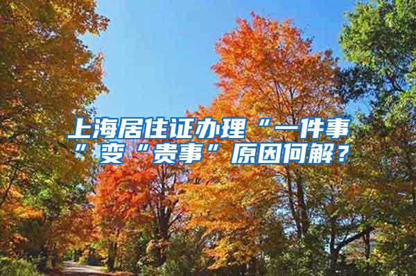 上海居住证办理“一件事”变“贵事”原因何解？