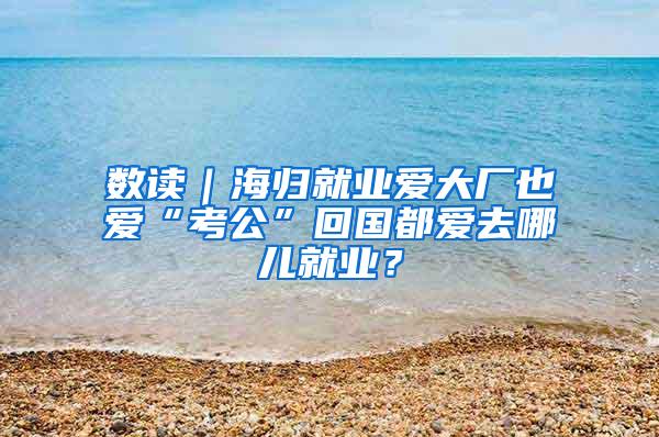 数读｜海归就业爱大厂也爱“考公”回国都爱去哪儿就业？