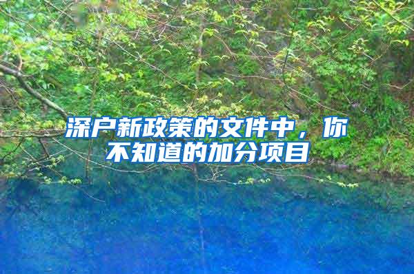 深户新政策的文件中，你不知道的加分项目