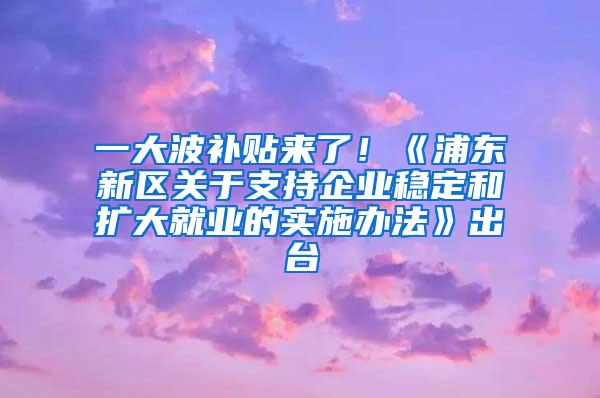 一大波补贴来了！《浦东新区关于支持企业稳定和扩大就业的实施办法》出台