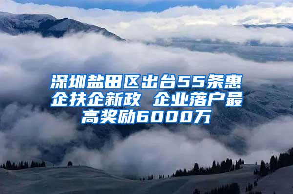 深圳盐田区出台55条惠企扶企新政 企业落户最高奖励6000万