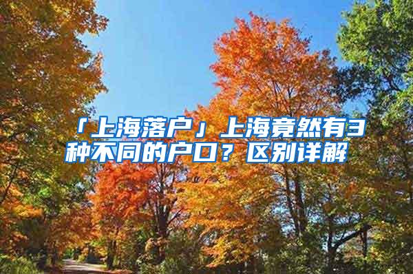 「上海落户」上海竟然有3种不同的户口？区别详解