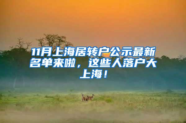 11月上海居转户公示最新名单来啦，这些人落户大上海！