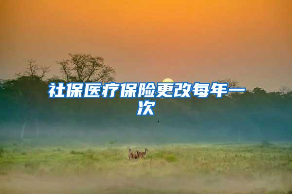 社保医疗保险更改每年一次