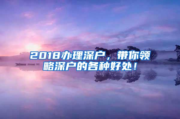 2018办理深户，带你领略深户的各种好处！