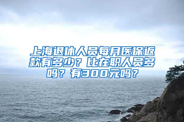 上海退休人员每月医保返款有多少？比在职人员多吗？有300元吗？