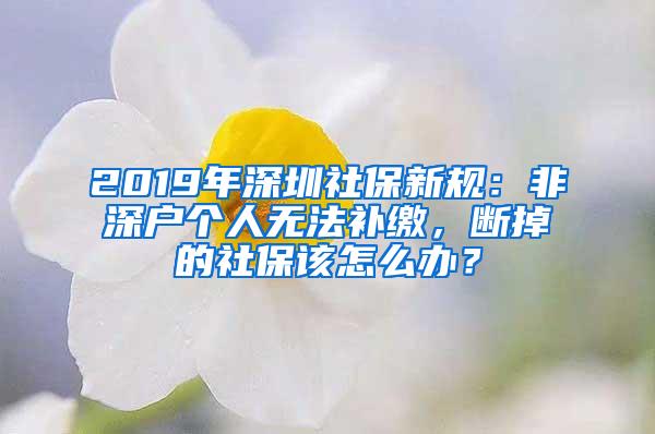 2019年深圳社保新规：非深户个人无法补缴，断掉的社保该怎么办？