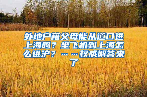 外地户籍父母能从道口进上海吗？坐飞机到上海怎么进沪？……权威解答来了