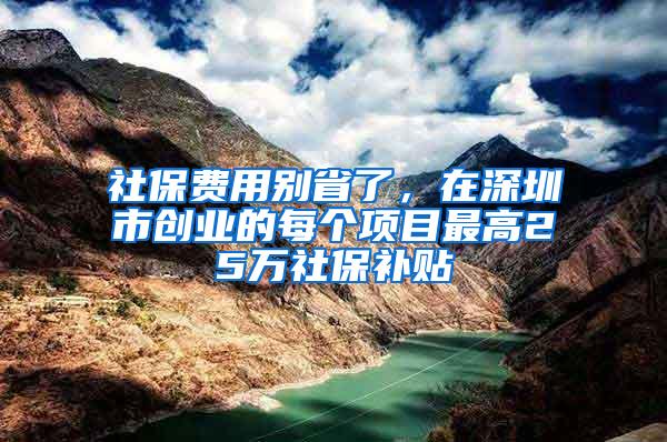 社保费用别省了，在深圳市创业的每个项目最高25万社保补贴