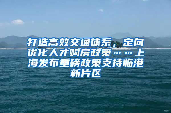 打造高效交通体系，定向优化人才购房政策……上海发布重磅政策支持临港新片区