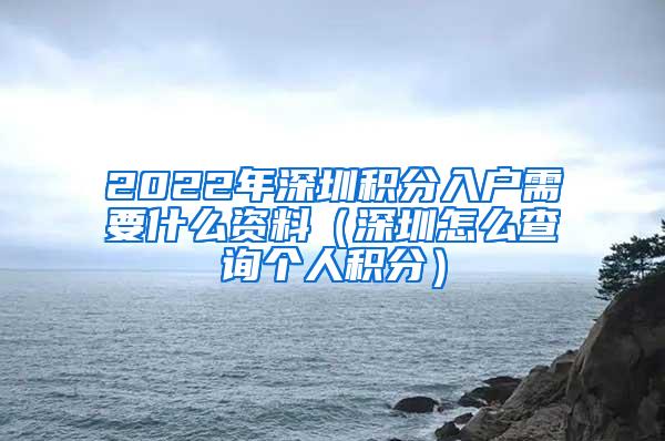 2022年深圳积分入户需要什么资料（深圳怎么查询个人积分）