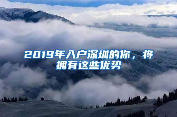 2019年入户深圳的你，将拥有这些优势