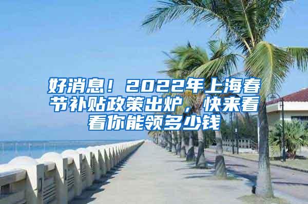 好消息！2022年上海春节补贴政策出炉，快来看看你能领多少钱