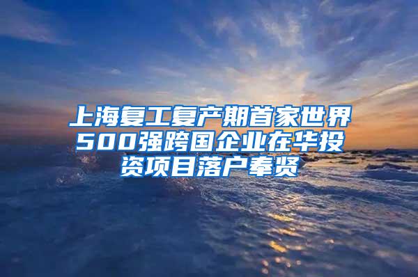 上海复工复产期首家世界500强跨国企业在华投资项目落户奉贤