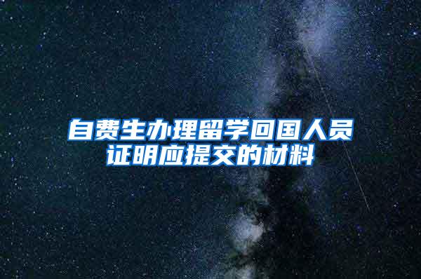 自费生办理留学回国人员证明应提交的材料