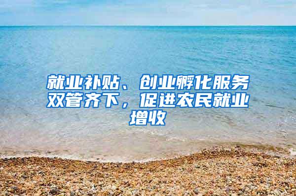 就业补贴、创业孵化服务双管齐下，促进农民就业增收