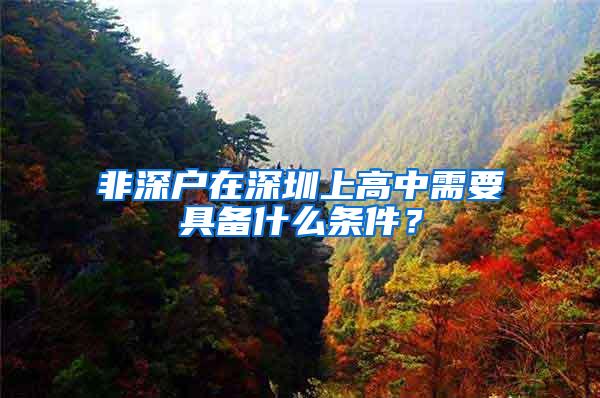 非深户在深圳上高中需要具备什么条件？