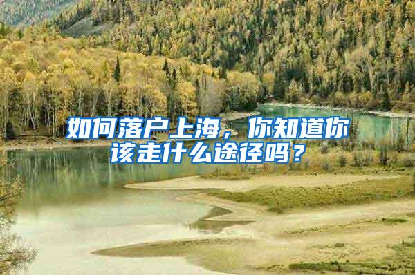 如何落户上海，你知道你该走什么途径吗？