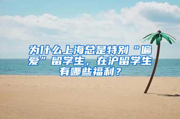 为什么上海总是特别“偏爱”留学生，在沪留学生有哪些福利？