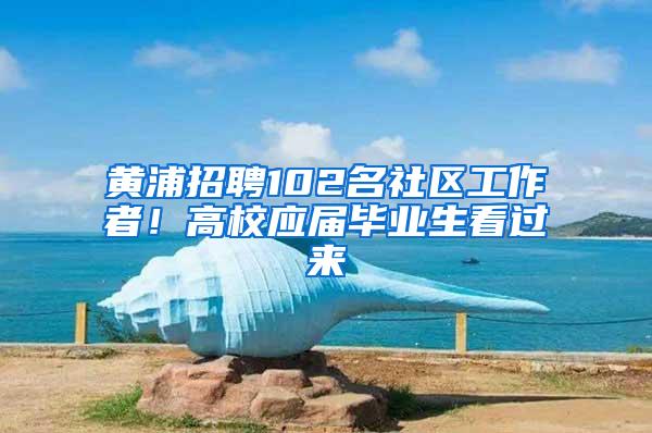 黄浦招聘102名社区工作者！高校应届毕业生看过来