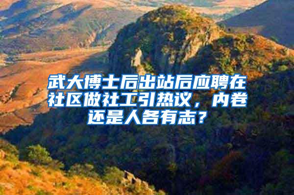 武大博士后出站后应聘在社区做社工引热议，内卷还是人各有志？