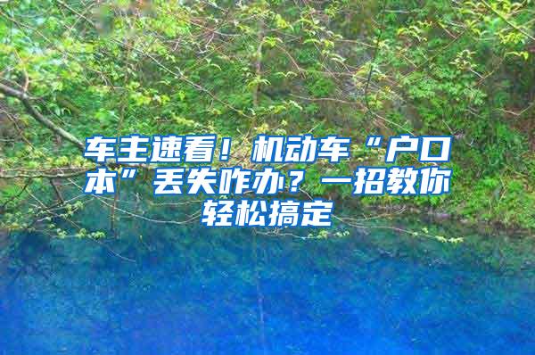 车主速看！机动车“户口本”丢失咋办？一招教你轻松搞定