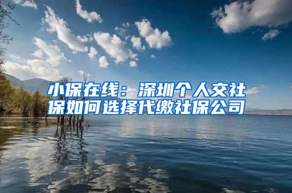 小保在线：深圳个人交社保如何选择代缴社保公司