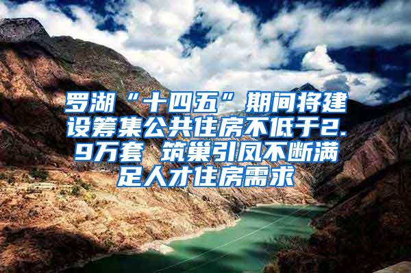 罗湖“十四五”期间将建设筹集公共住房不低于2.9万套 筑巢引凤不断满足人才住房需求