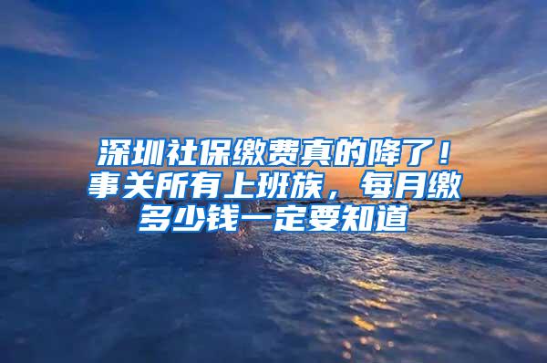 深圳社保缴费真的降了！事关所有上班族，每月缴多少钱一定要知道