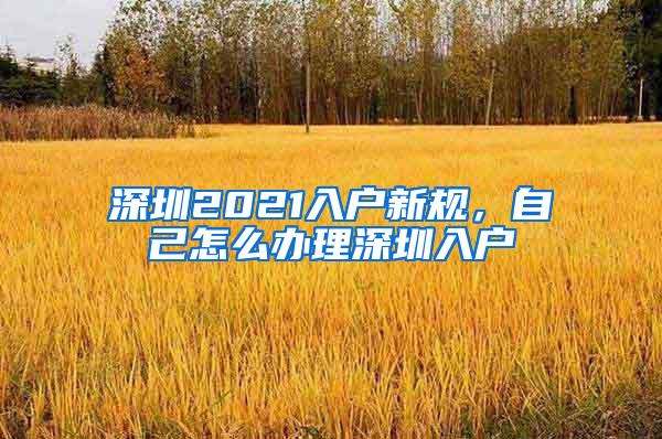 深圳2021入户新规，自己怎么办理深圳入户