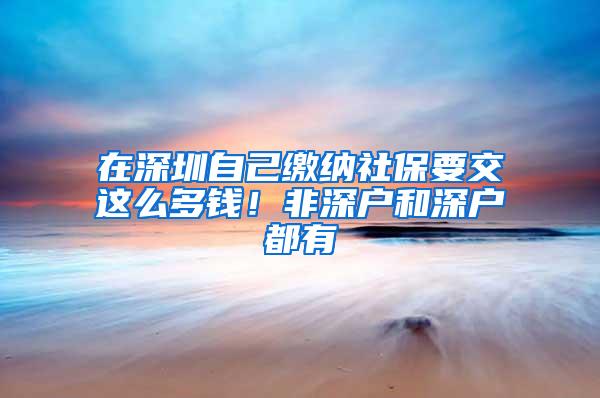 在深圳自己缴纳社保要交这么多钱！非深户和深户都有