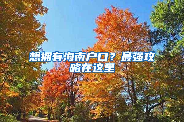 想拥有海南户口？最强攻略在这里