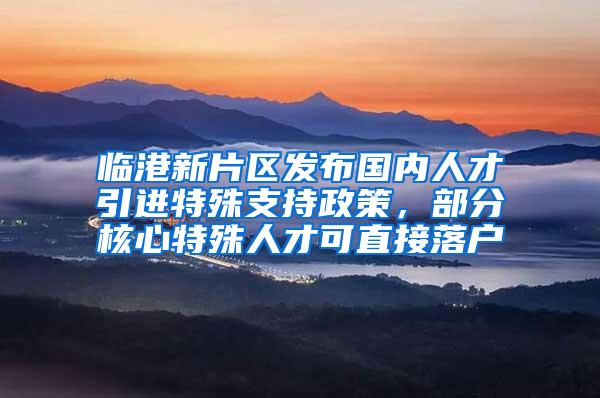 临港新片区发布国内人才引进特殊支持政策，部分核心特殊人才可直接落户