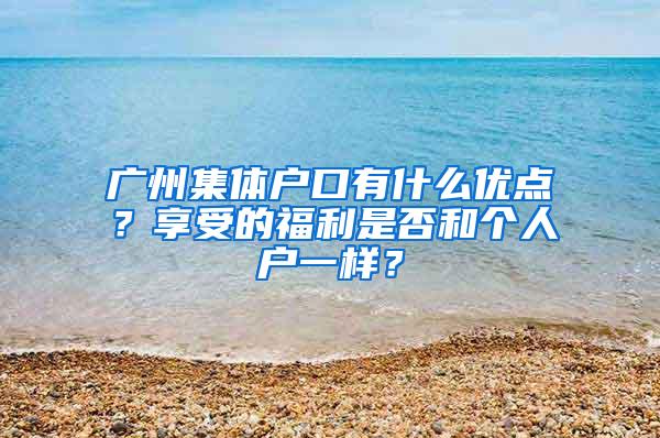 广州集体户口有什么优点？享受的福利是否和个人户一样？