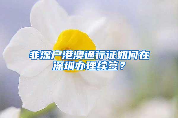 非深户港澳通行证如何在深圳办理续签？