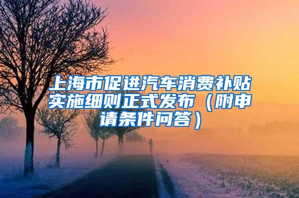 上海市促进汽车消费补贴实施细则正式发布（附申请条件问答）