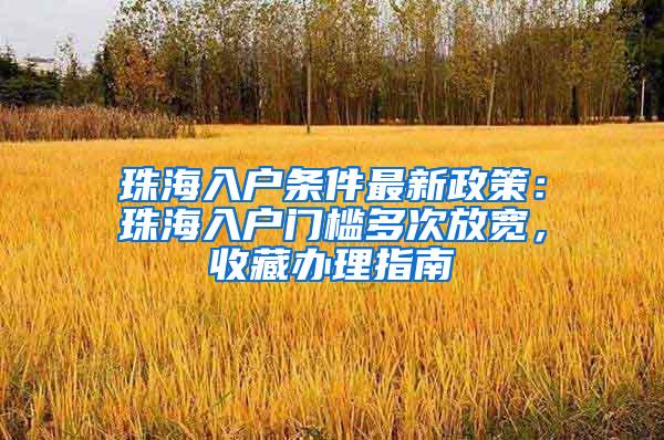 珠海入户条件最新政策：珠海入户门槛多次放宽，收藏办理指南